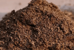 Organic Peat Moss