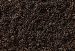Organic Screened Topsoil